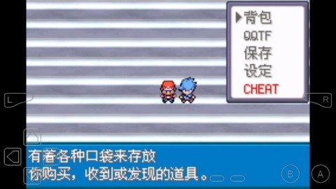 口袋妖怪永恒之焱(2)