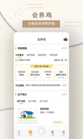 鸡蛋小鸡工厂版