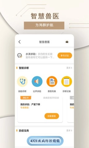 鸡蛋小鸡工厂版