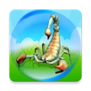 昆虫进化大乱斗 