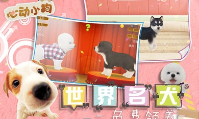 心动小狗最新版图5