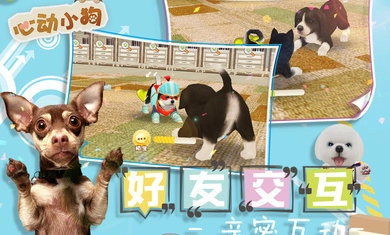 心动小狗最新版图3