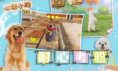 心动小狗最新版图2