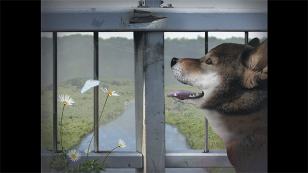 翌日波奇狗的历险记游戏图3