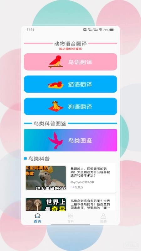 鸟语翻译器prt客户端图4
