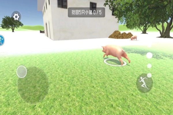 逃离农场老太太(2)