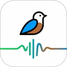 鸟语翻译器prt客户端