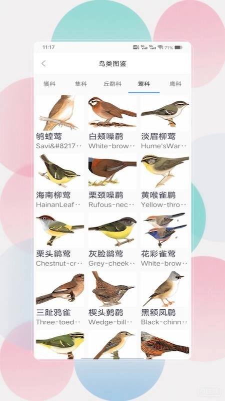 鸟语翻译器prt客户端图2