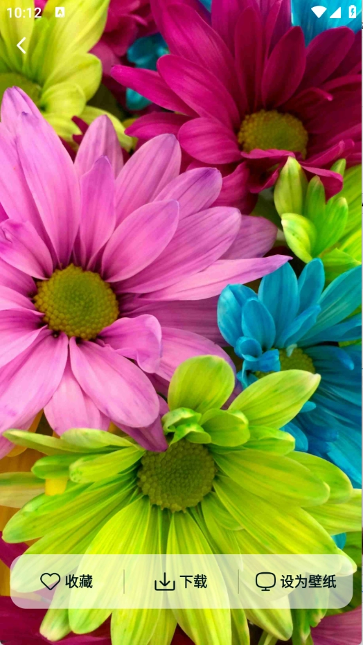 躍動(dòng)壁紙最新版截圖2