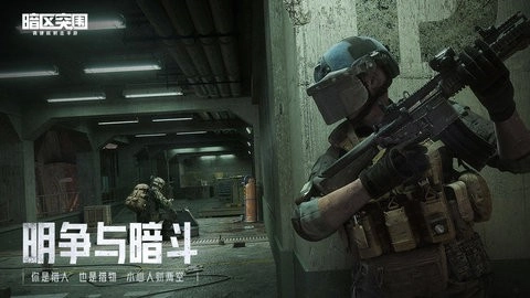 暗区突围画质助手免费无任务图2