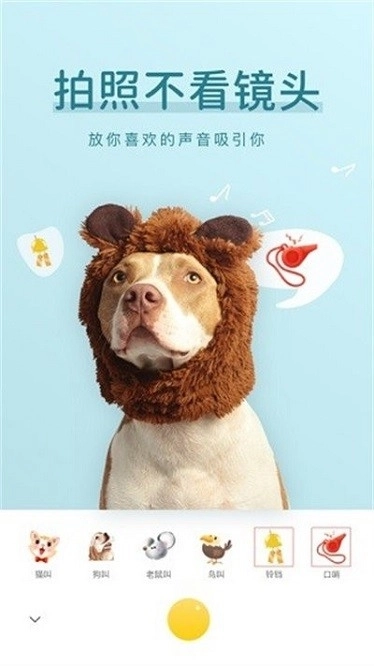 萌仔相机手机版(4)