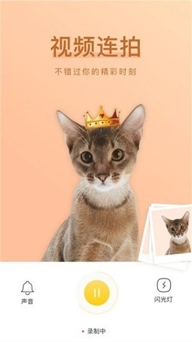 萌仔相机手机版(3)