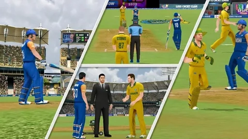 2025板球对战冠军赛图2