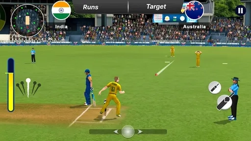 2025板球对战冠军赛图3