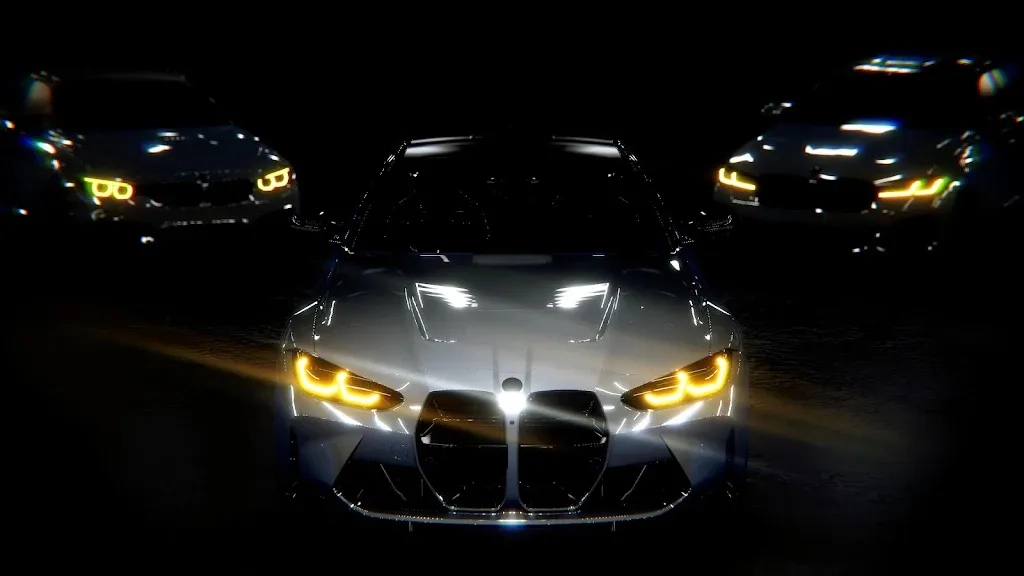 真实汽车驾驶2026手机版(3)