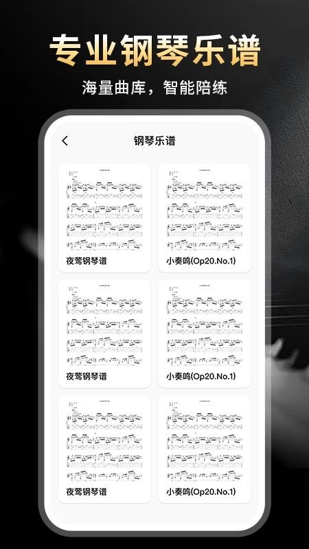 完美节奏钢琴最新版(2)
