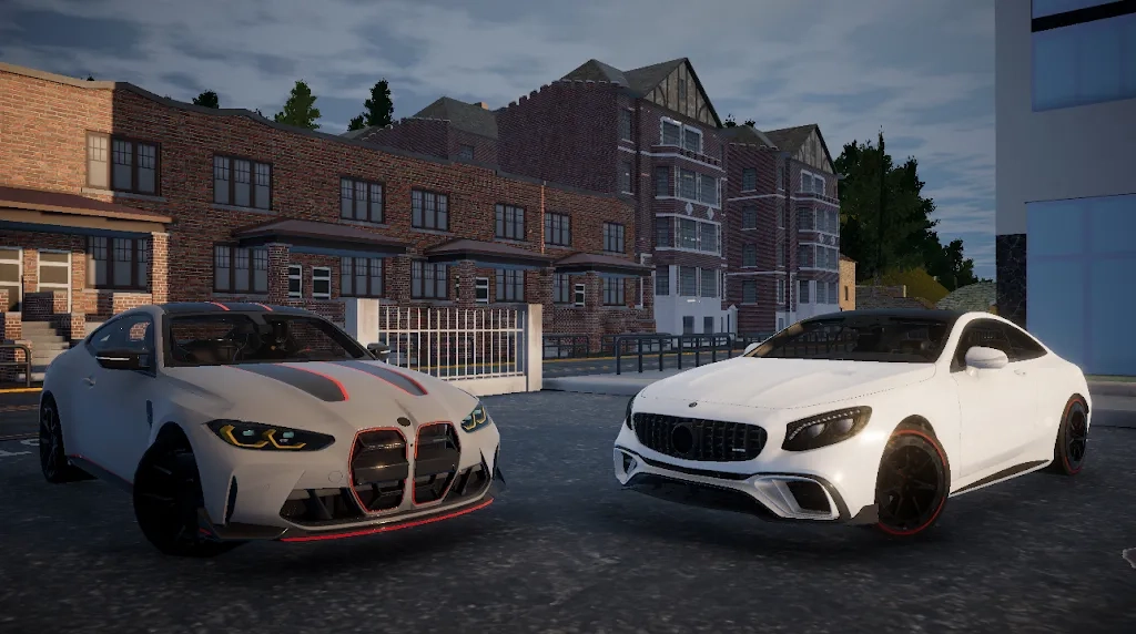 真实汽车驾驶2026手机版(4)