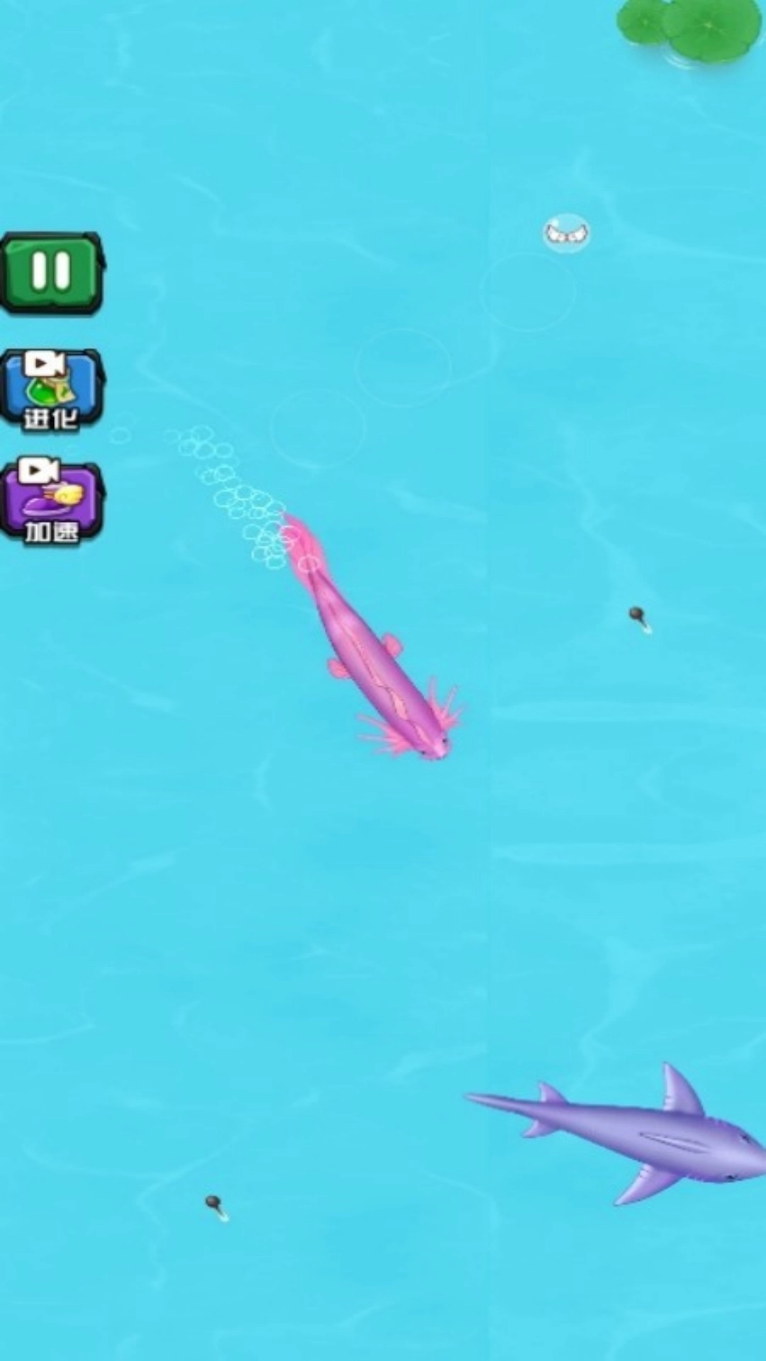 召唤疯狂神龙(1)