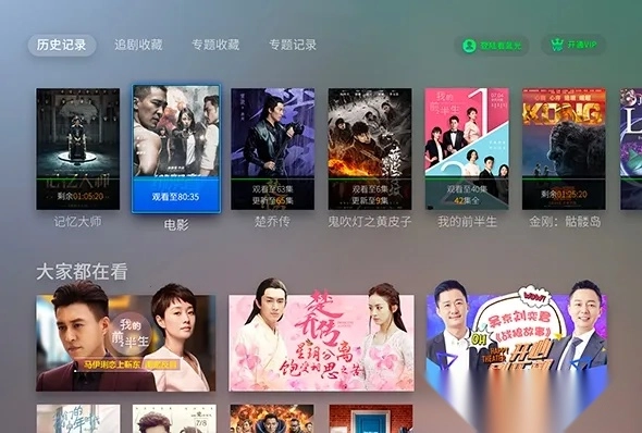 VST全聚合(聚合视频播放)  手机版(5)