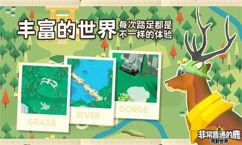 非常普通的鹿荒野世界图4