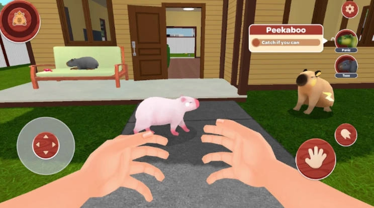 我的卡皮巴拉免广告版图3