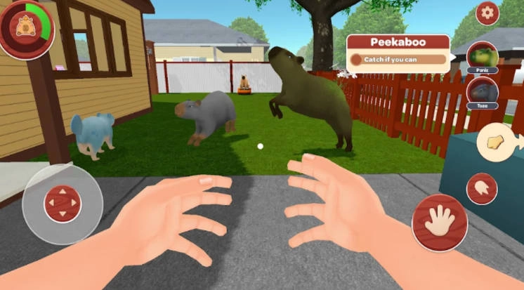 我的卡皮巴拉免广告版图4