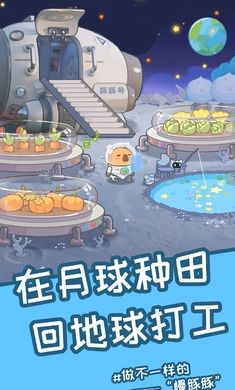 慢豚豚的生活安卓版