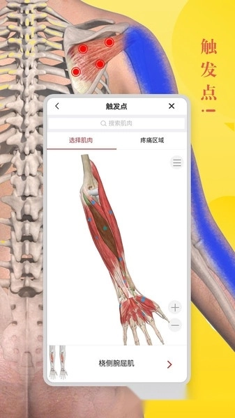 3Dbody解剖学软件图2