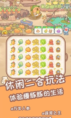 慢豚豚的生活安卓版