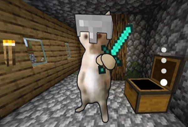 小猫冒险求生-图3