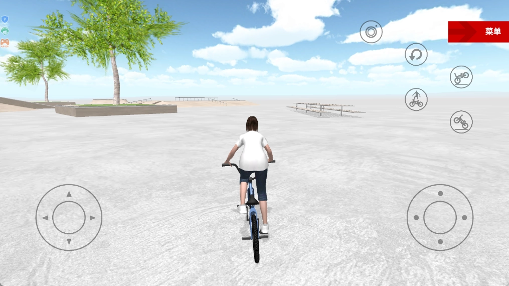 特技单车达人(3)