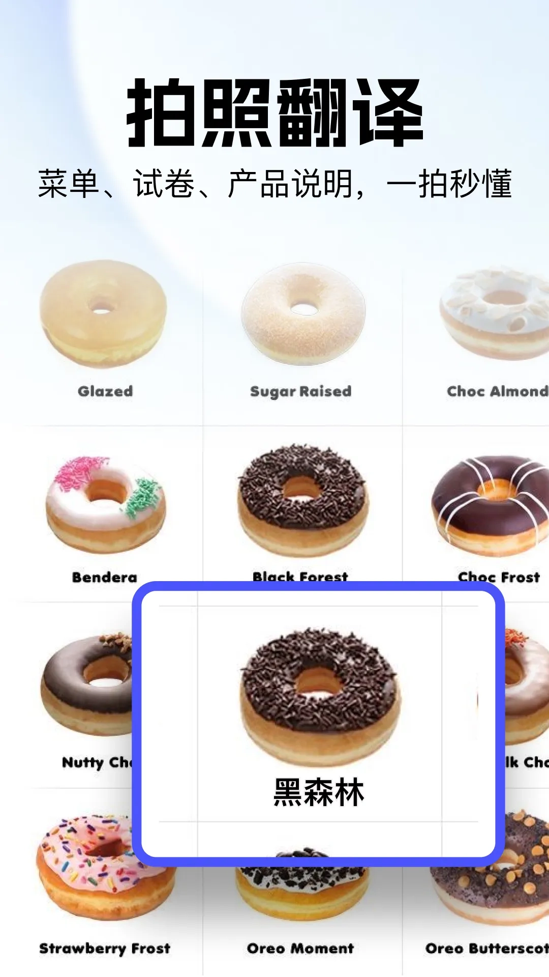 极速翻译官Pro2026最新版图2