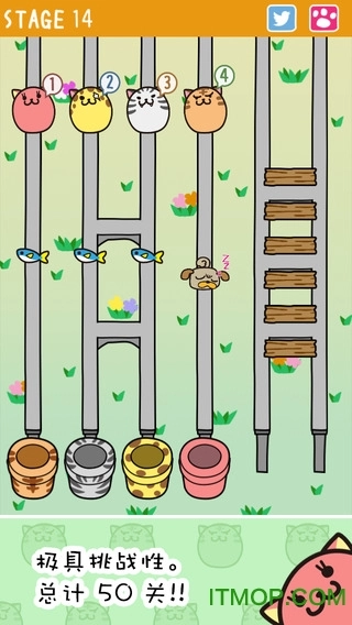 猫过马路(Crossy Cats)