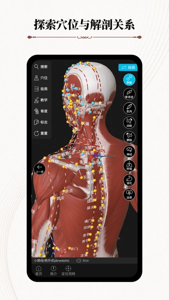 中医经络腧穴软件(针灸大师)(3)