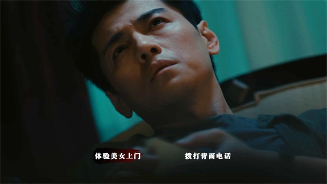 扫毒风暴宛北往事图2