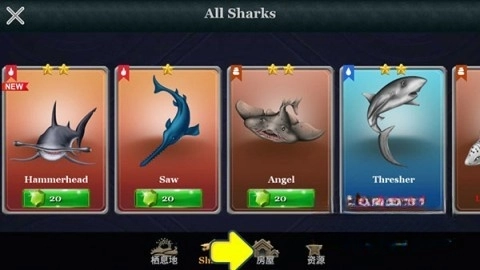 鲨鱼世界(1)
