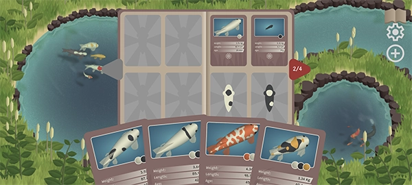 锦鲤农场(Koi Farm)(1)