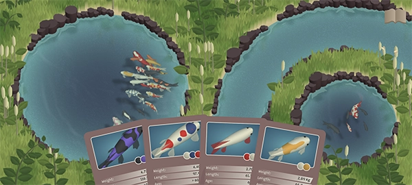 锦鲤农场(Koi Farm)(2)