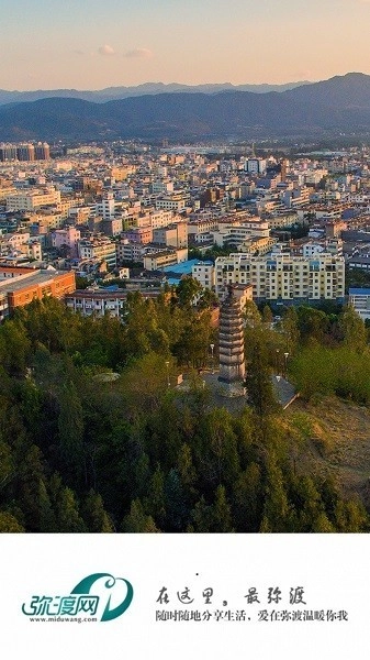 弥渡网免费版截图2