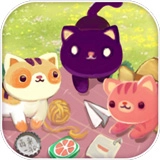 夏日杂货店无广告