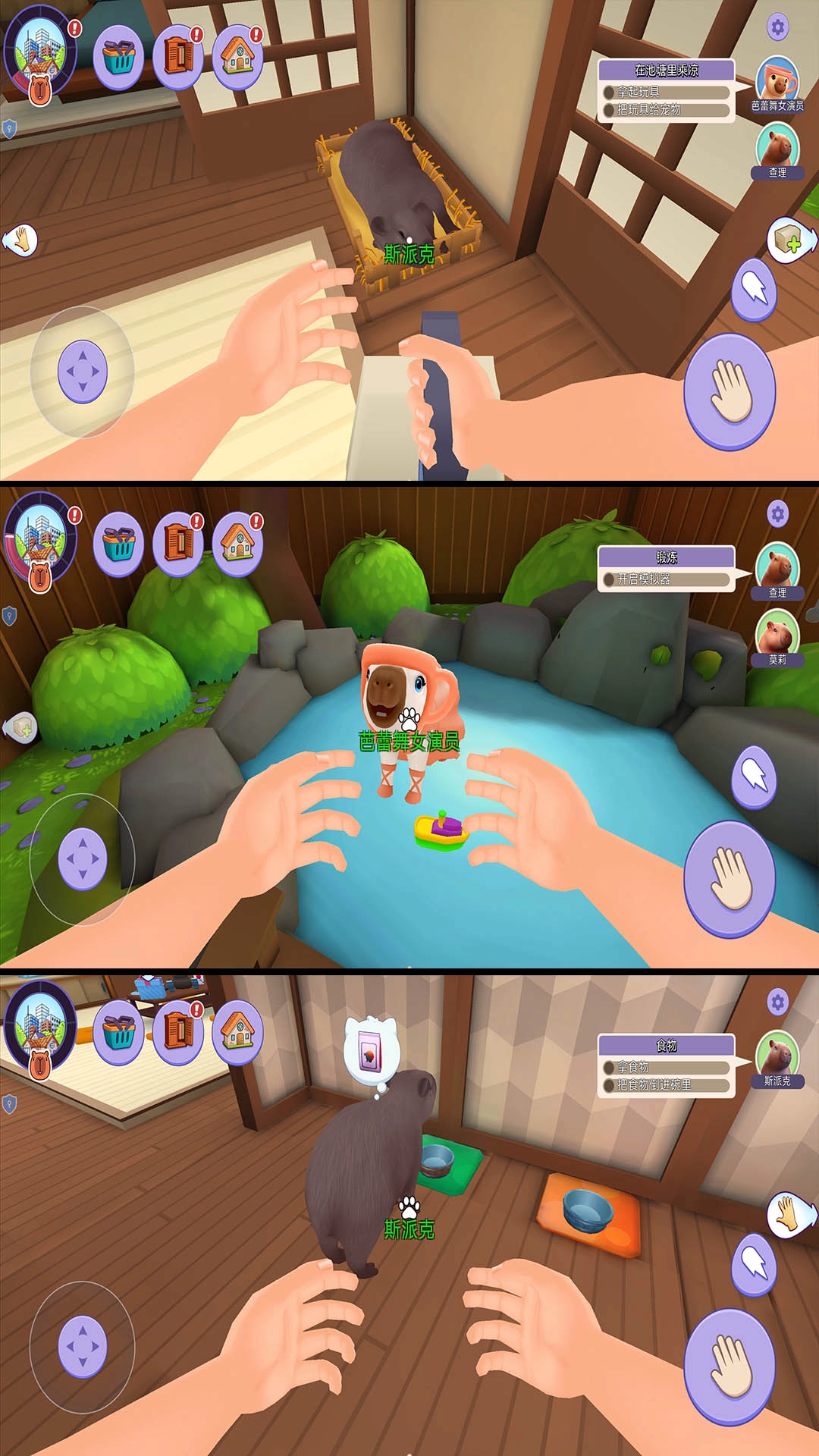 我的水豚小伙伴