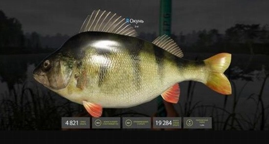 俄罗斯钓鱼4手机版3