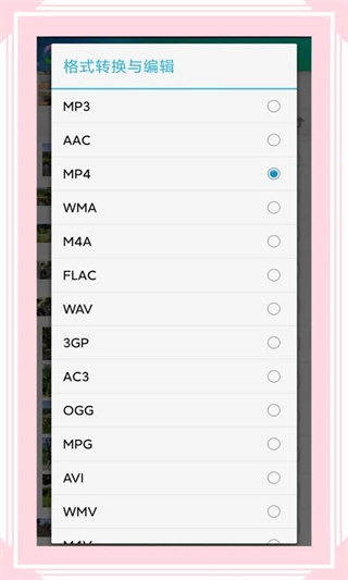 视音格式转换器图5