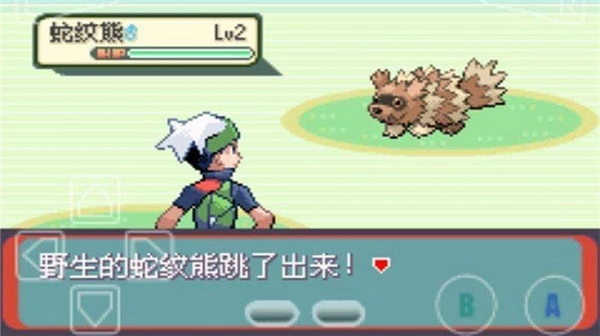 口袋妖怪綠寶石正版圖2