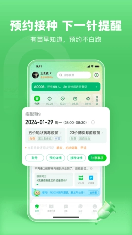 小豆苗图3