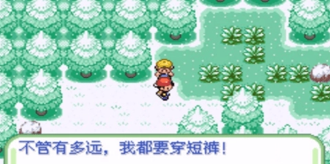 口袋妖怪织女星(3)