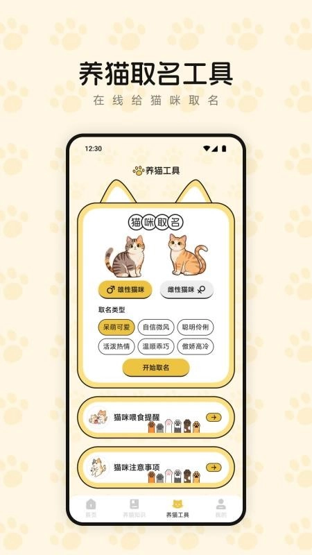 筑梦萌猫舍