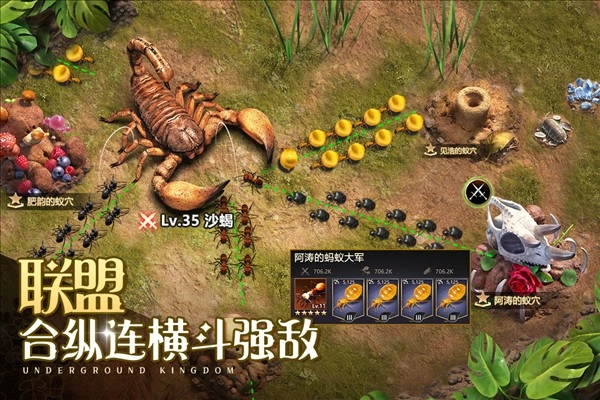 小小蚁国安卓版(4)