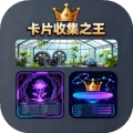 卡片收集之王