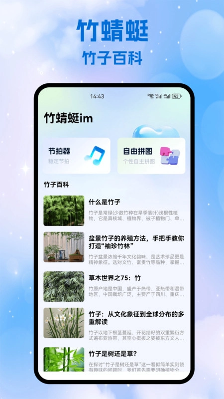 竹蜻蜓im图3